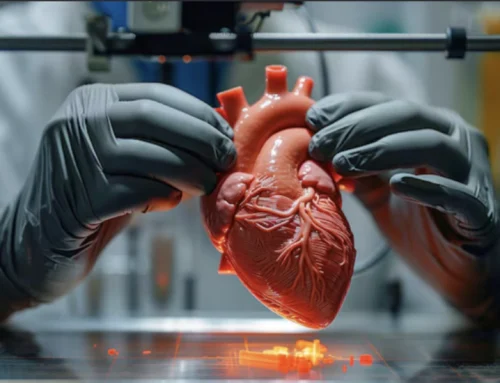 3D Printing: Redefining Anatomy