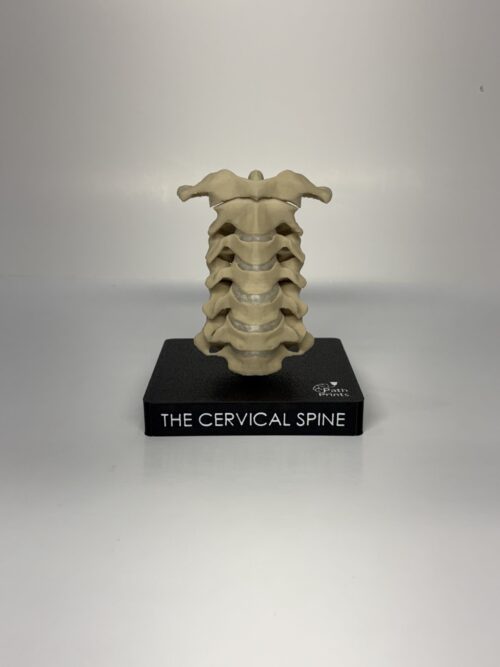 Cervical Spine